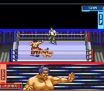 Hammer Lock Wrestling (USA) screen shot game playing